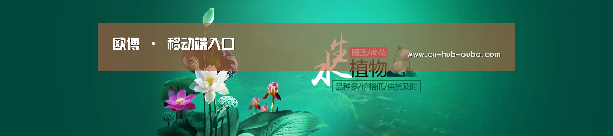 鲜花水草花卉网站模板
