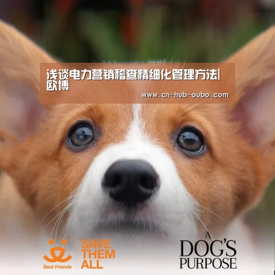 欧博新春活动