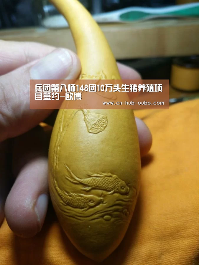 兵团第八师148团10万头生猪养殖项目签约-欧博(图2) 欧博新春活动