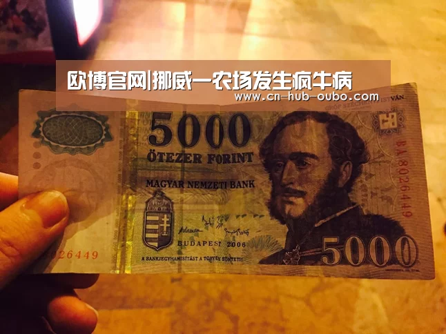欧博新春活动